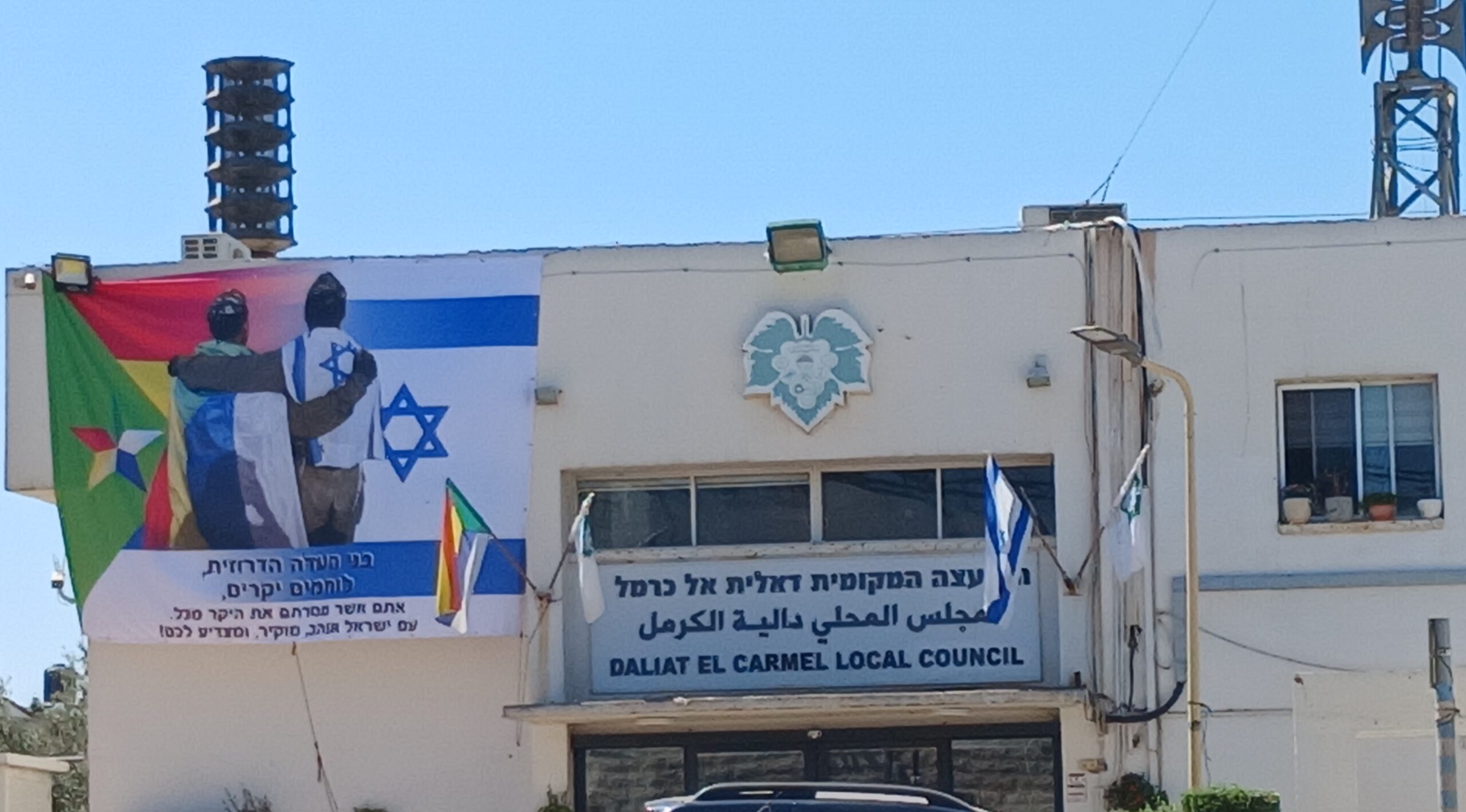 דליית אל כרמל 559